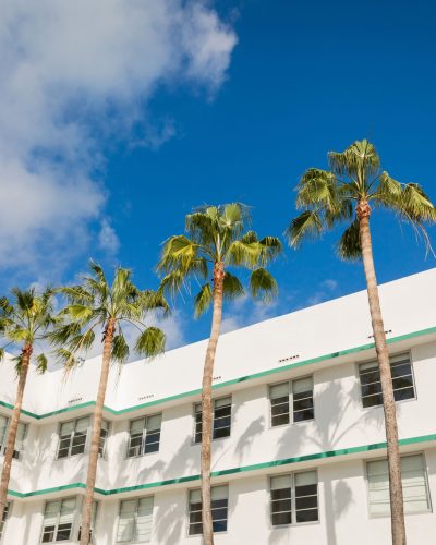 green-palm-trees-growing-near-modern-building-agai-2024-11-11-15-17-33-utc-min green-palm-trees-growing-near-modern-building-agai-2024-11-11-15-17-33-utc-min
